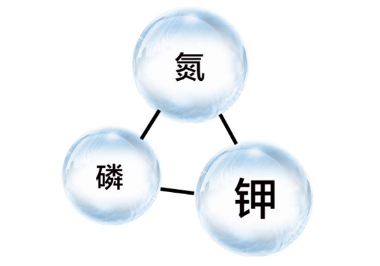 氮磷钾是什么肥料（氮磷钾是什么肥料是磷酸二氢钾吗）