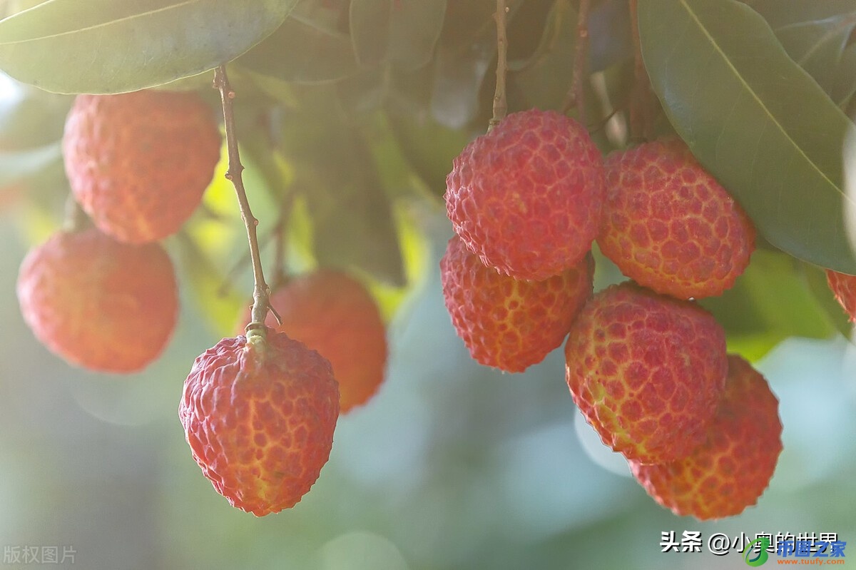 川是哪个省的简称（鄂是哪里的简称）