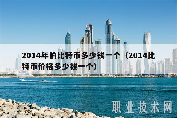 2014年的比特币多少钱一个（2014比特币价格多少钱一个）