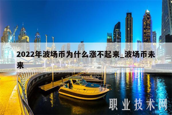 2022年波场币为什么涨不起来_波场币未来