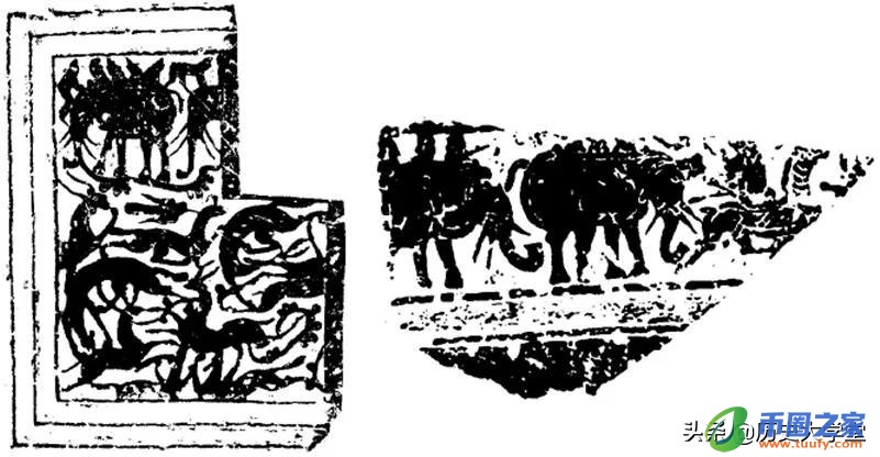 大象代表什么寓意（在泰国大象代表什么寓意）