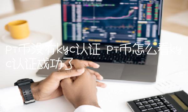 pi币怎么看kyc认证成功了