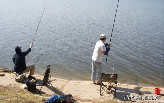 新鲜的大鱼在哪钓（钓大鱼用什么鱼饵最好）