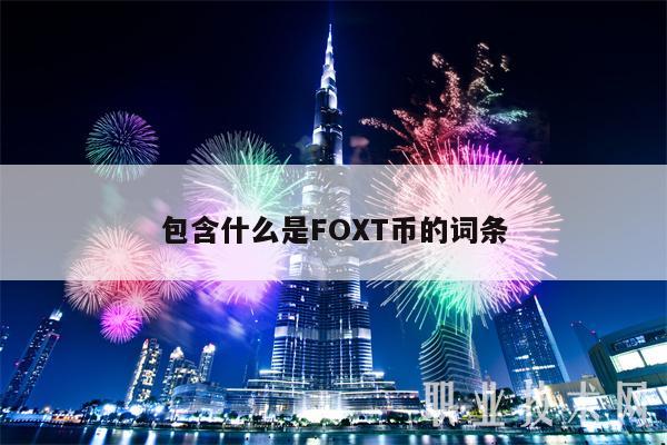 包含什么是FOXT币的词条