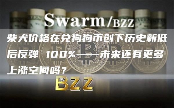 柴犬价格在兑狗狗币创下历史新低后反弹 100%——未来还有更多上涨 空间吗？