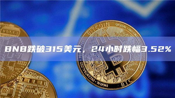 BNB跌破315美元，24小时跌幅3.52%