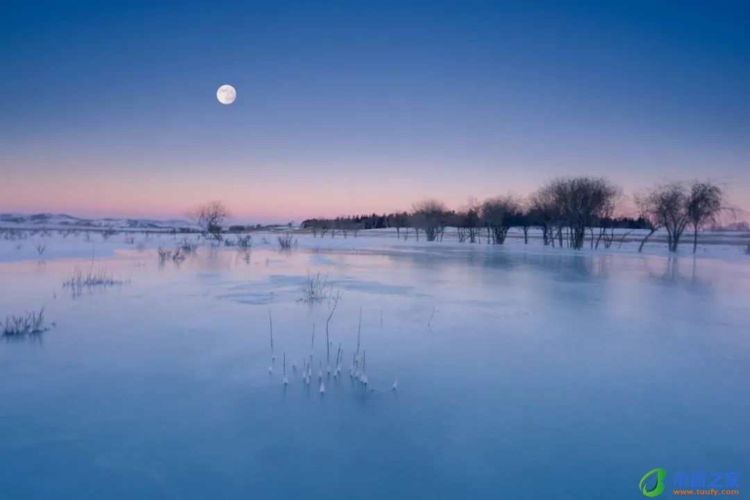 月光的唯美的诗句（月光的唯美的描写）