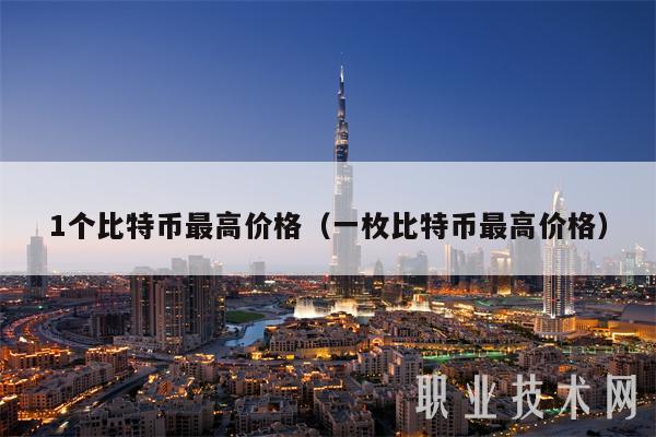 1个比特币最高价格（一枚比特币最高价格）