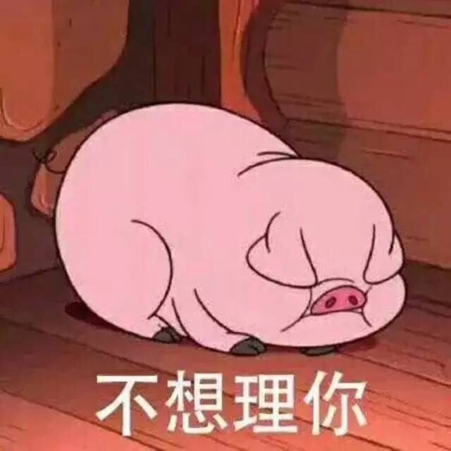 娘子啊哈是什么歌（娘子啊哈是什么歌歌词是什么意思）