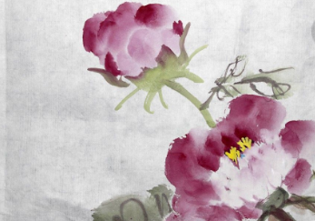 古代对牡丹的雅称（古代对牡丹花的别称）