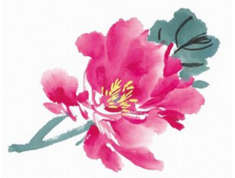 古代对牡丹的雅称（古代对牡丹花的别称）