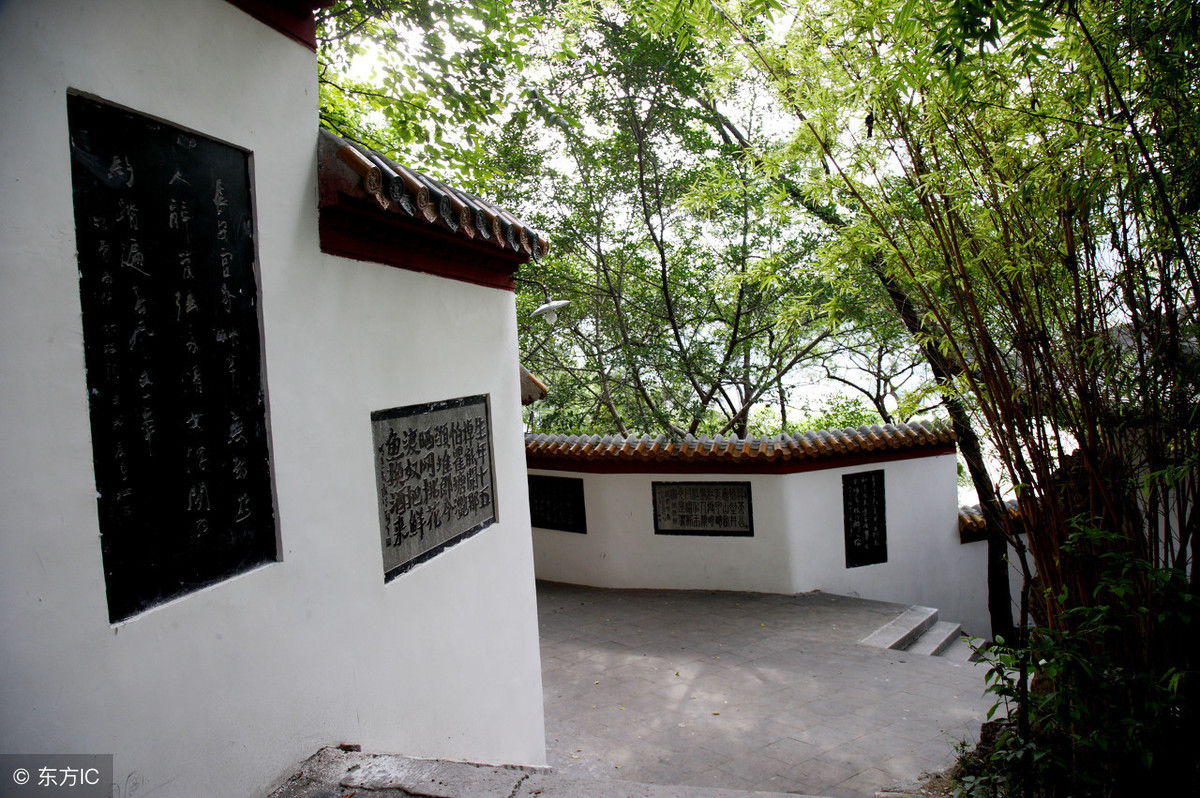 浅析是什么意思（什么叫浅析）3