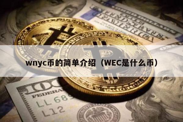 wnyc币的简单介绍（WEC是什么币）