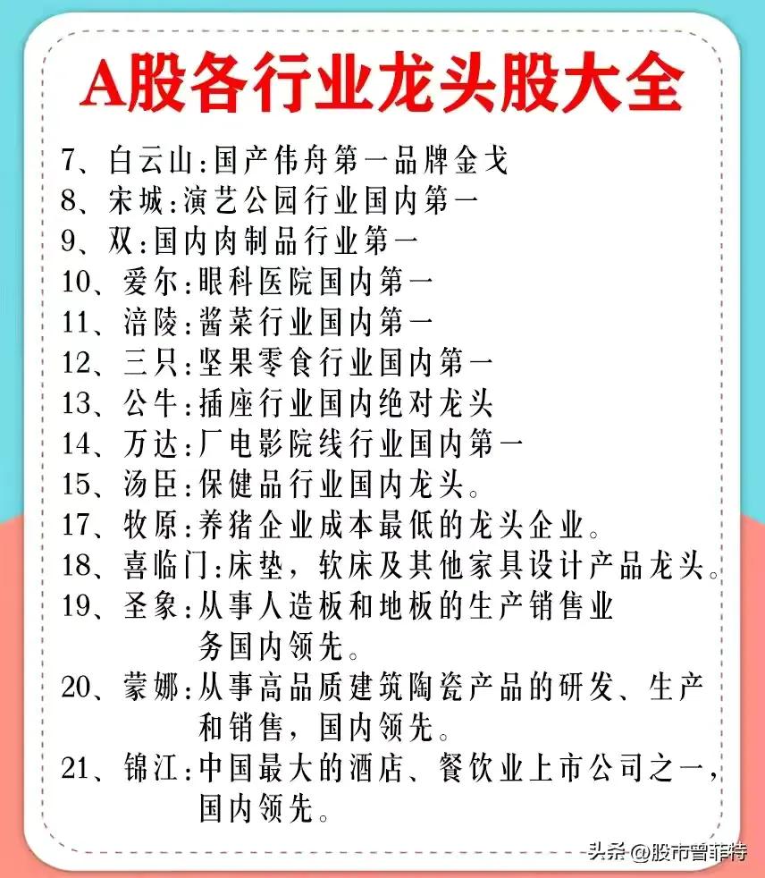 龙头股票有哪些（券商龙头股票有哪些）