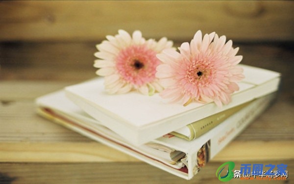 1117什么星座(怎么判断天蝎座动心了)