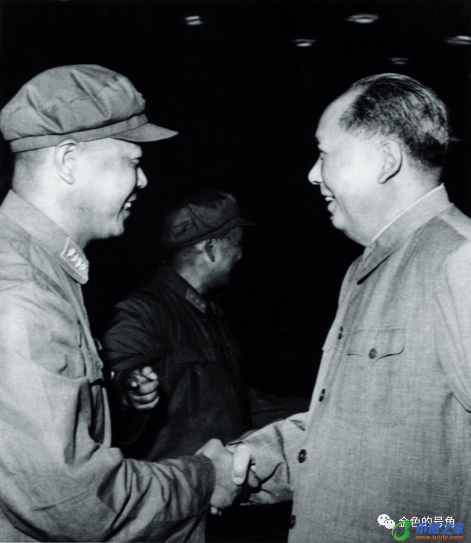 肖占武是什么电视剧(绝密543免费观看完整版西瓜视频)