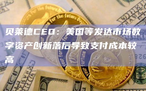 贝莱德CEO：美国等发达市场数字资产创新落后导致支付成本较高