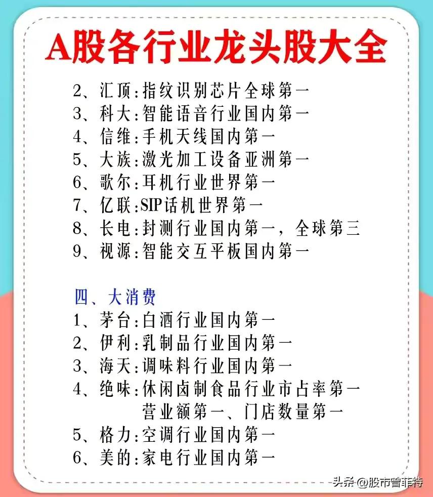 龙头股票有哪些（券商龙头股票有哪些）