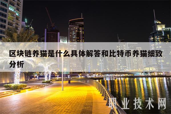 区块链养猫是什么具体解答和比特币养猫细致分析插图 区块链养猫是什么具体解答和比特币养猫细致分析