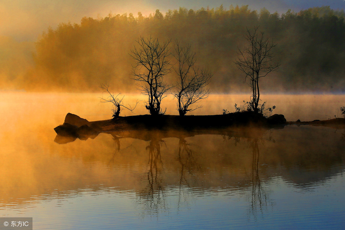 浅析是什么意思（什么叫浅析）