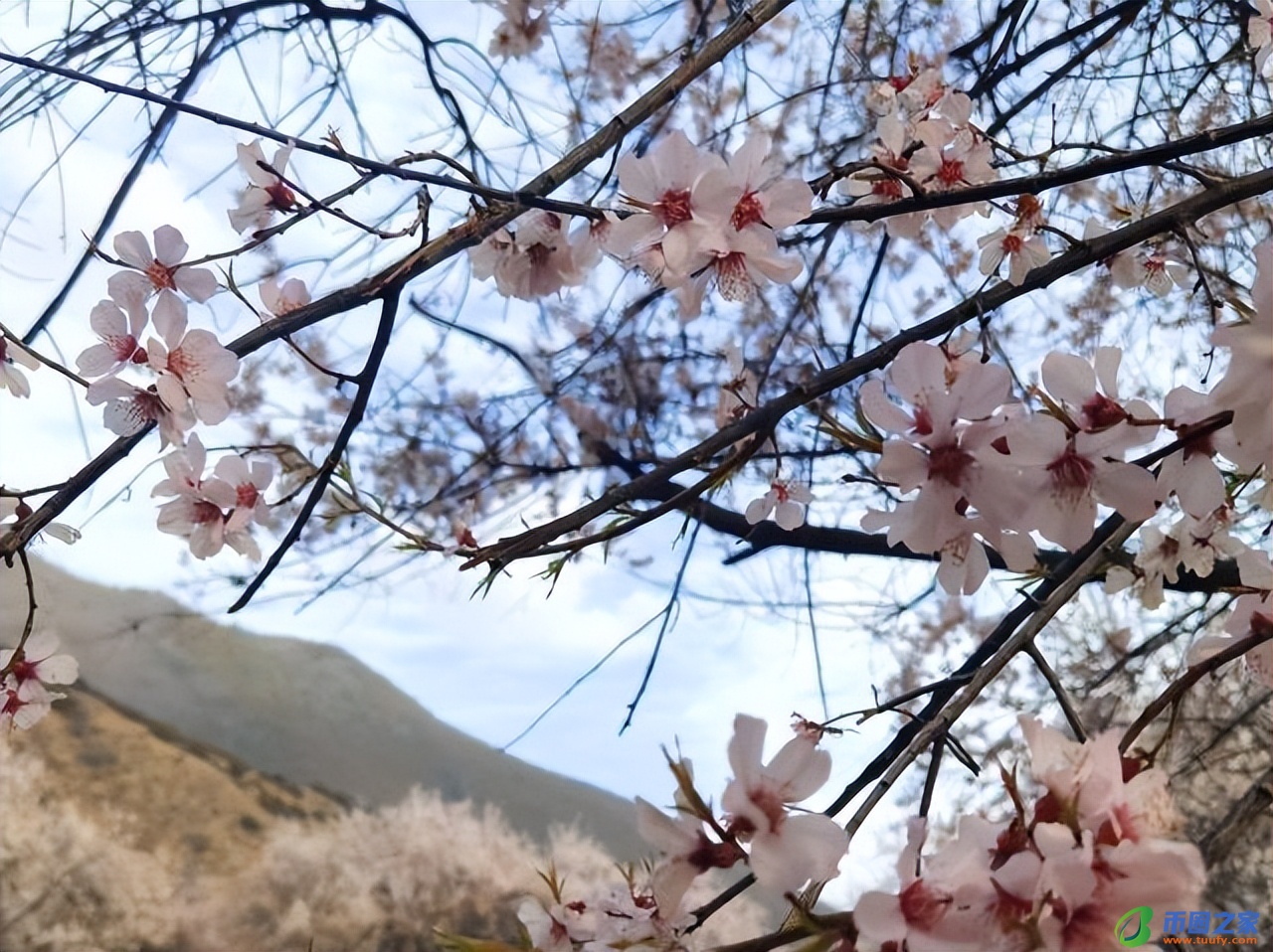 水字旁最吉利的字（土字旁最吉利的字男孩）