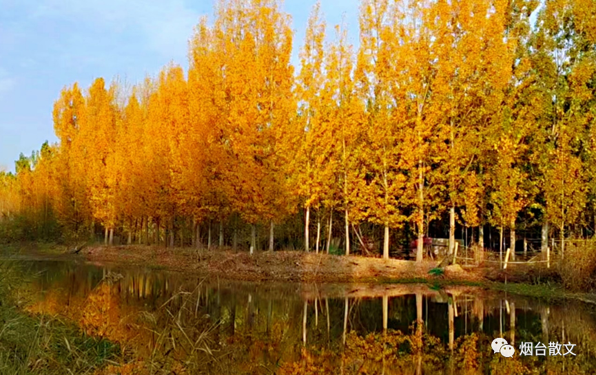 什么地笑填空词语（什么地笑填空词语三个字）