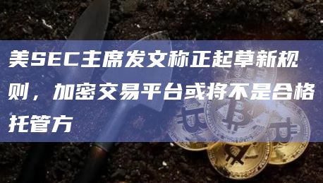 美SEC主席发文称正起草新规则，加密交易平台或将不是合格托管方