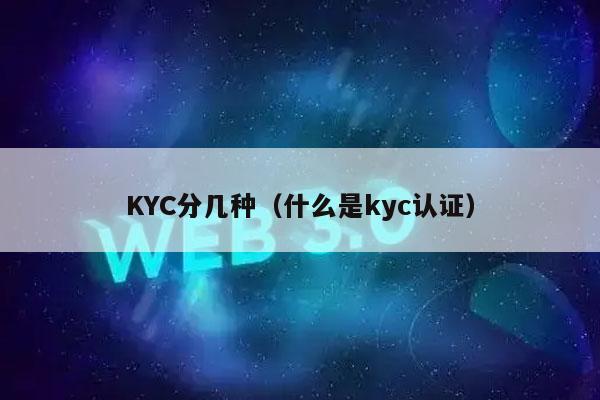 KYC分几种(什么是kyc认证)