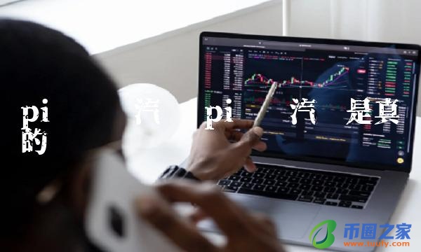 pi币买汽车是真的吗