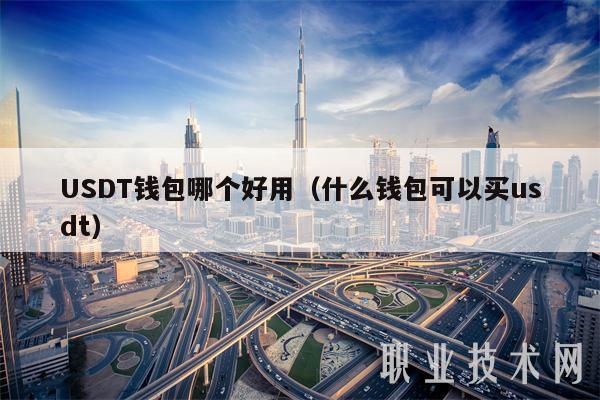 USDT钱包哪个好用（什么钱包可以买usdt）