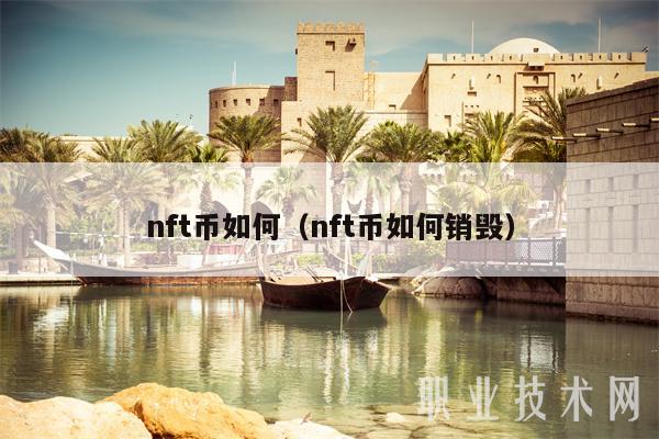 nft币如何(nft币如何销毁)插图 nft币如何(nft币如何销毁)