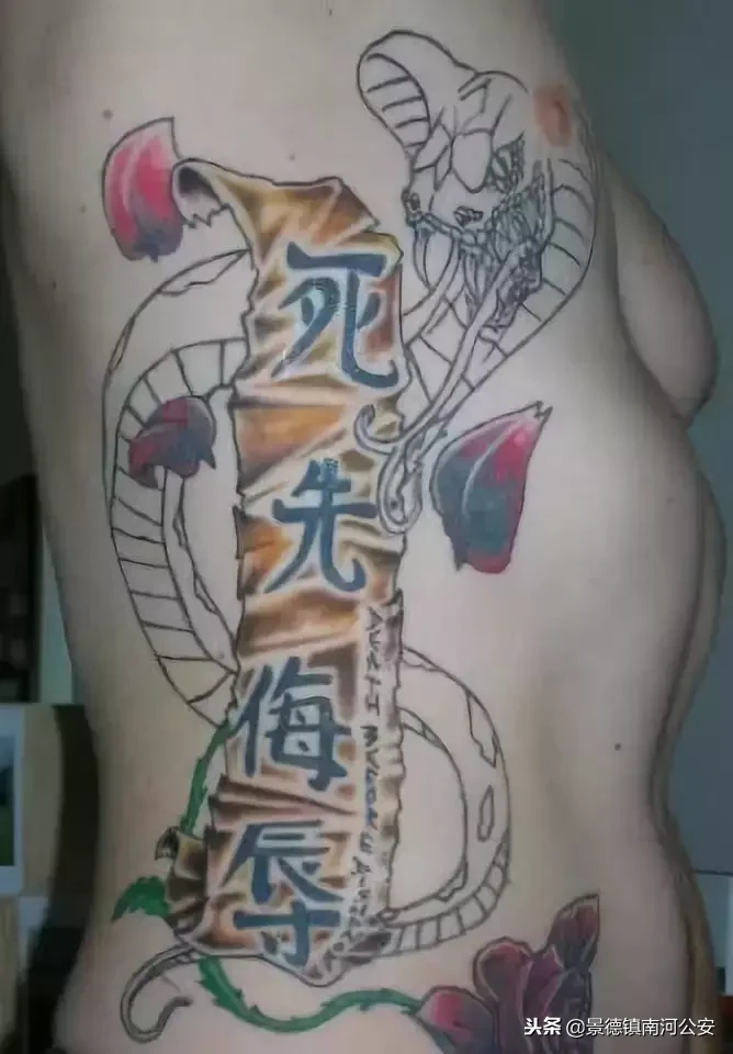 大嘴巴是什么意思（猫张大嘴巴是什么意思）