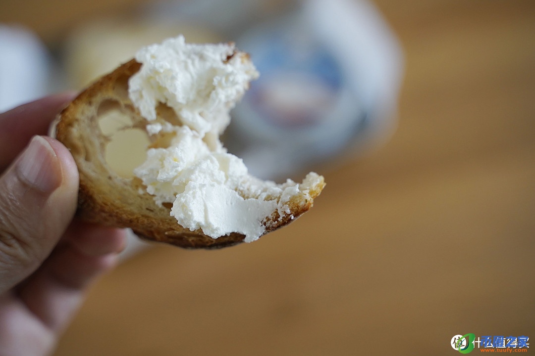 奶酪是什么味道的（奶酪是什么味道的东西）