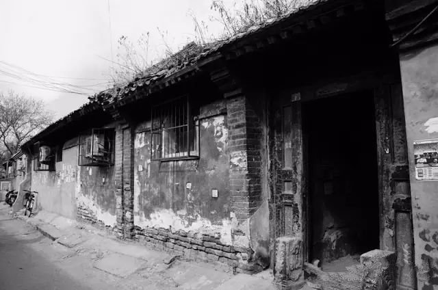 四大仙是什么动物（东北四大仙是什么动物）3