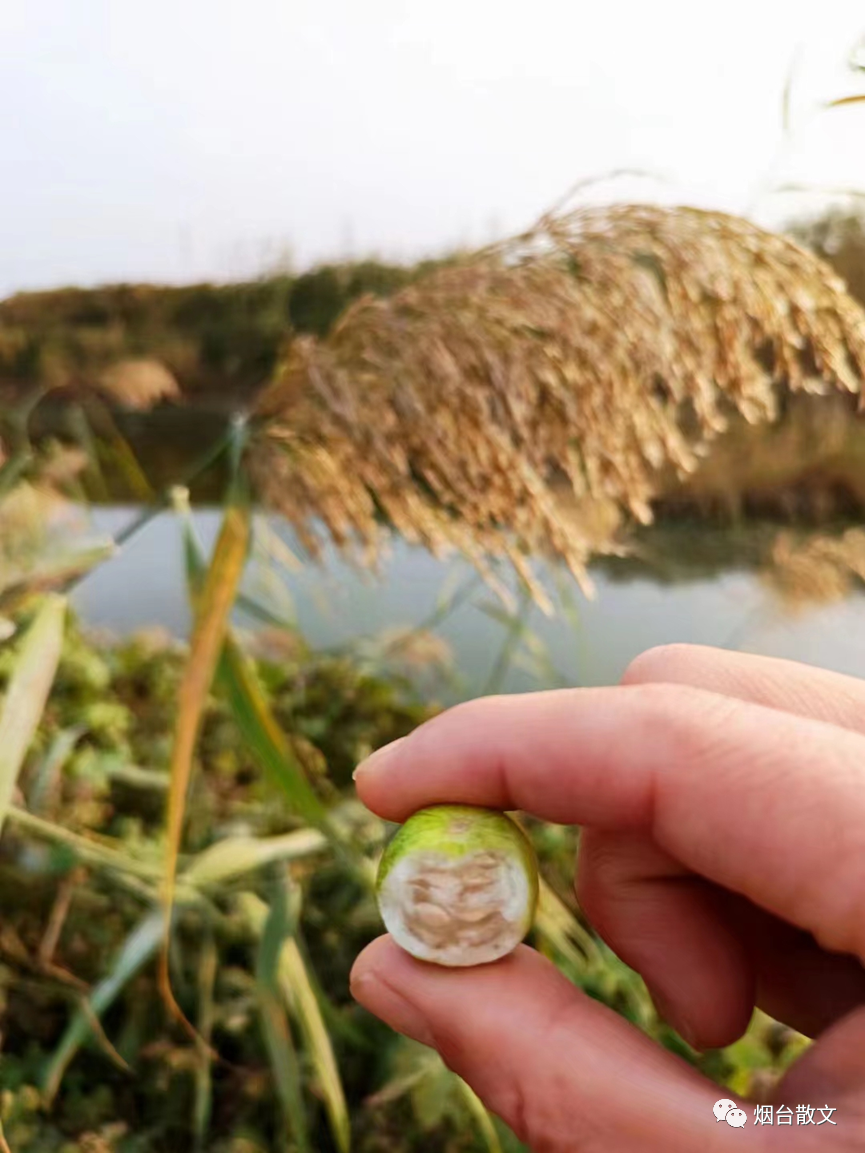 什么地笑填空词语（什么地笑填空词语三个字）