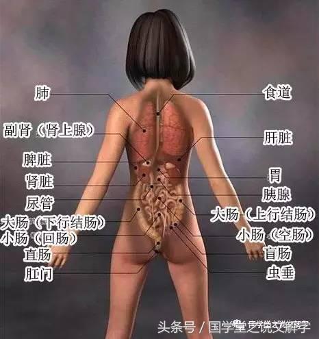 月字旁的有什么字（忄字旁的有什么字）