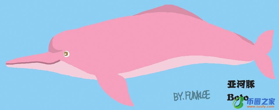 鲸鱼和海豚的区别（鲸鱼和海豚的区别在哪里）