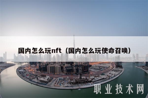 国内怎么玩nft（国内怎么玩使命召唤）