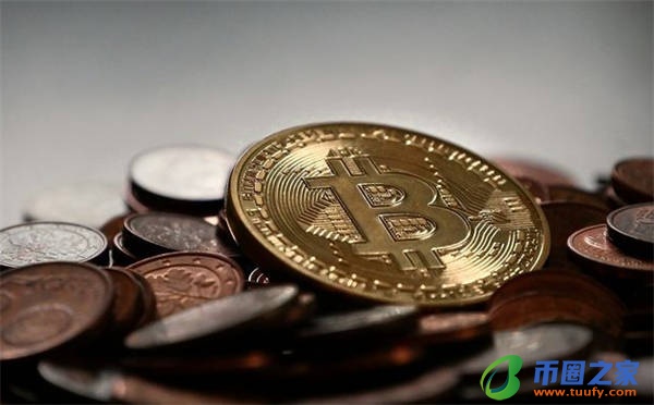 维卡币中文周报(维卡币官网周报)