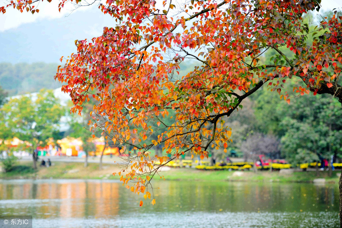 浅析是什么意思（什么叫浅析）2