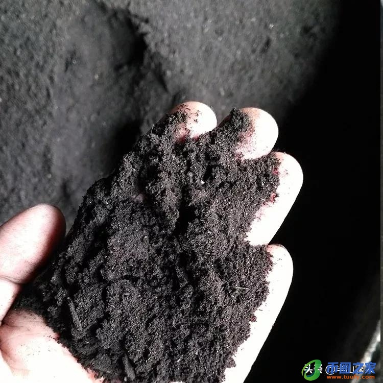 放线菌的繁殖方式（放线菌的繁殖方式主要是颜值）