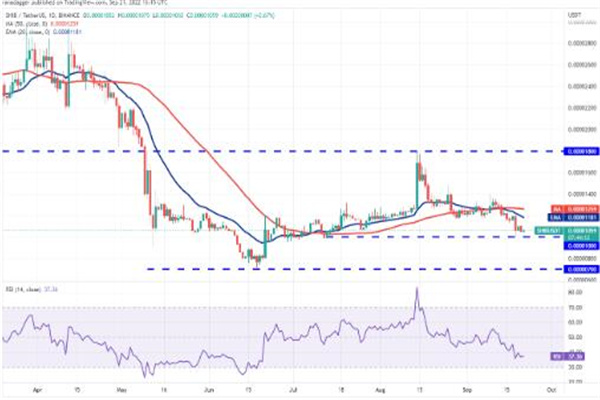 屎币今日最新价格行情 SHIB今日最新消息