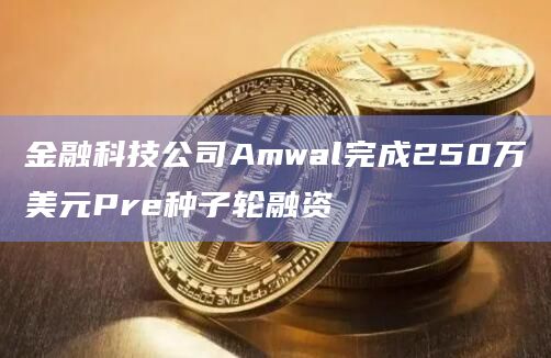 金融科技公司Amwal完成250万美元Pre种子轮融资