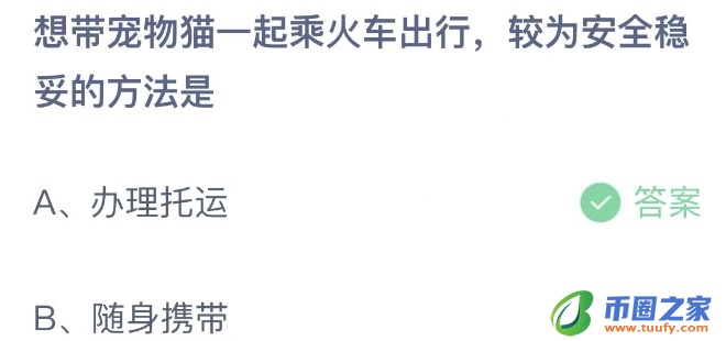 猫咪可以上高铁吗（宠物托运平台）