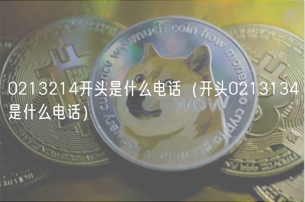 0213214开头是什么电话（开头0213134是什么电话）