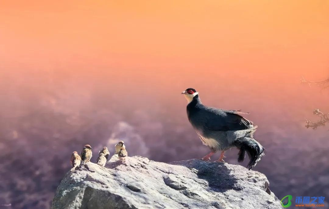 一览众山小的意思（众当凌绝顶一览众山小的意思）