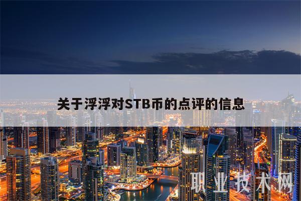 关于浮浮对STB币的点评的信息
