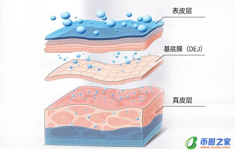 精华液什么时候用（精华液哪个牌子最好用）