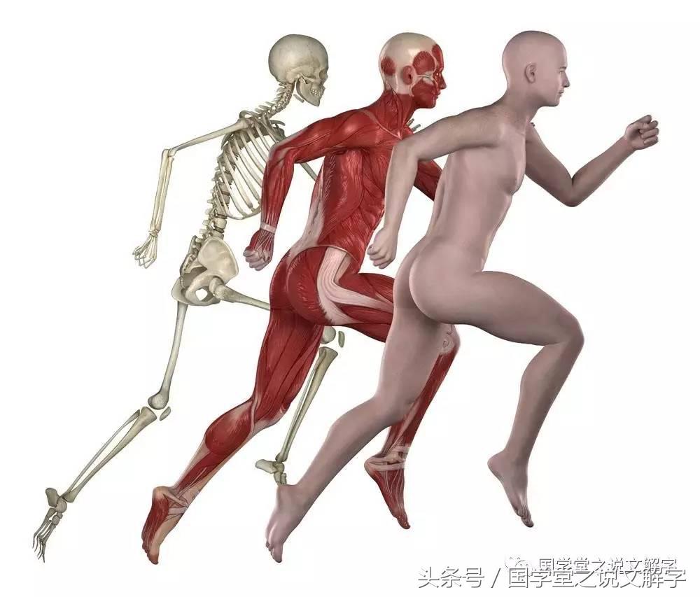 月字旁的有什么字（忄字旁的有什么字）3