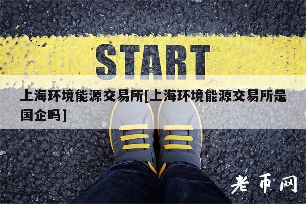 上海环境能源交易所[上海环境能源交易所是国企吗]